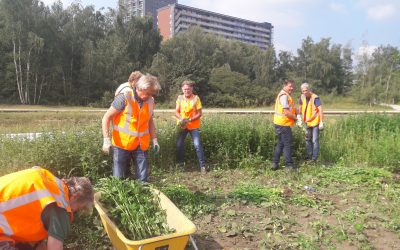 Spoorpark doet oproep groenvrijwilligers!