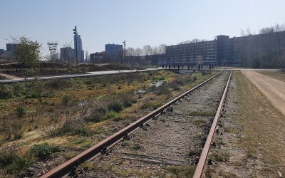 Het is stil in het Spoorpark, maar er gebeurt van alles!