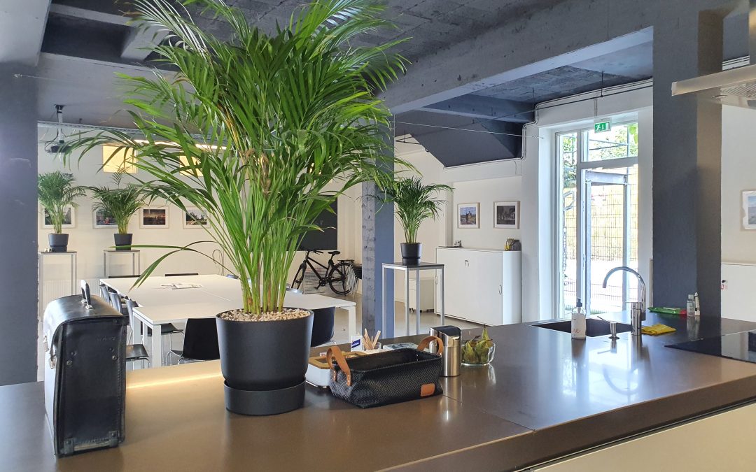 Ruimtes in Spoorpark gebouw te huur voor vergadering of presentatie