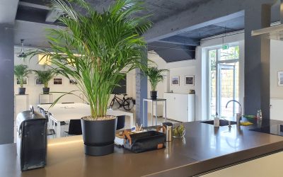 Ruimtes in Spoorpark gebouw te huur voor vergadering of presentatie