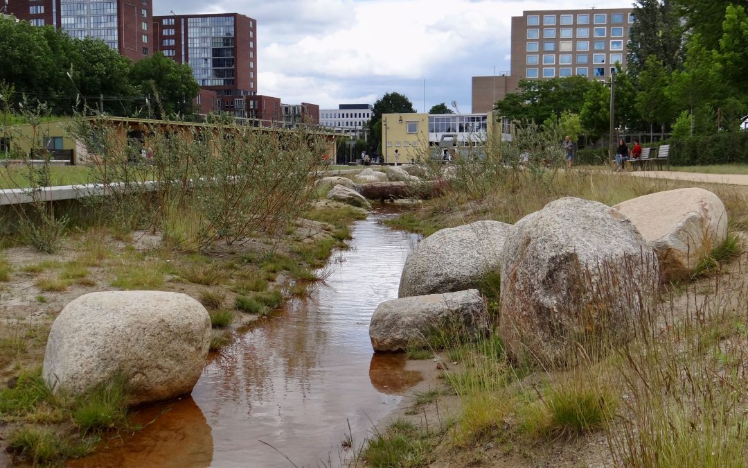 Spoorpark helpt mee aan klimaatbestendig koel Tilburg