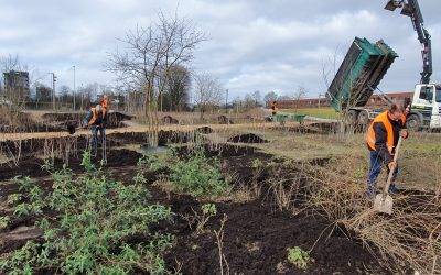 Bosstrooisel gestort tegen uitspoeling