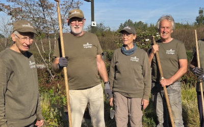 Stem op de vrijwilligers die het Spoorpark groen houden