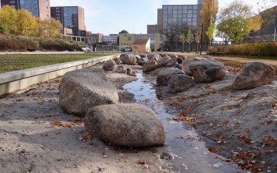 Monitoring ‘Levend water’ gestart