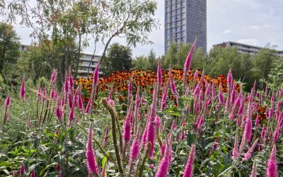Spoorpark kleurt groen én rood!