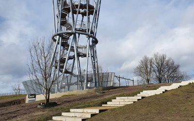 Nieuwe bomen geplant in Spoorpark