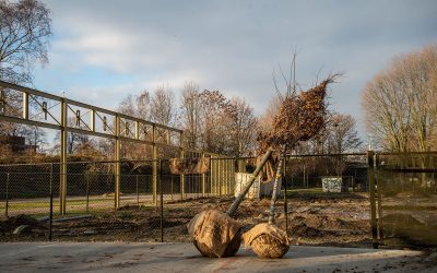 Volop bomen geplant in Spoorpark