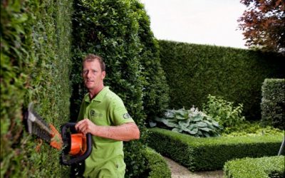 Brouwers Groenaannemers gekozen als aannemer Spoorpark