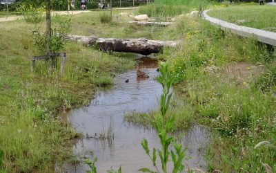 Spoorpark bestaat twee jaar!