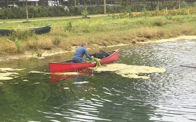 Vijver schoongemaakt met hulp van kano’s