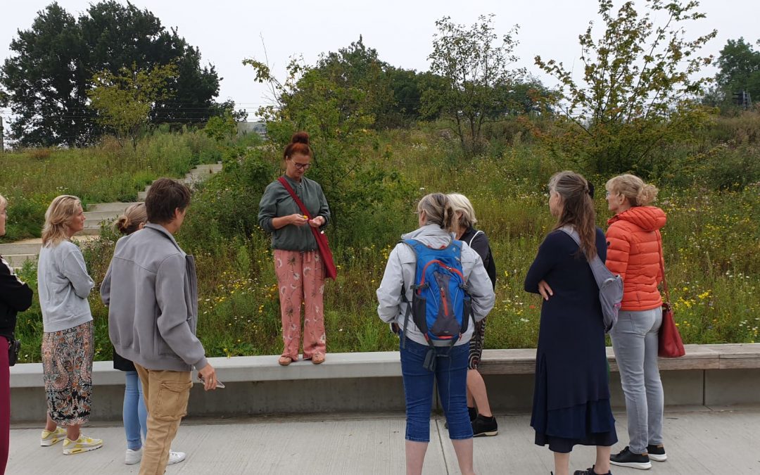 Kruidenwandeling op herhaling na eerste geslaagde editie