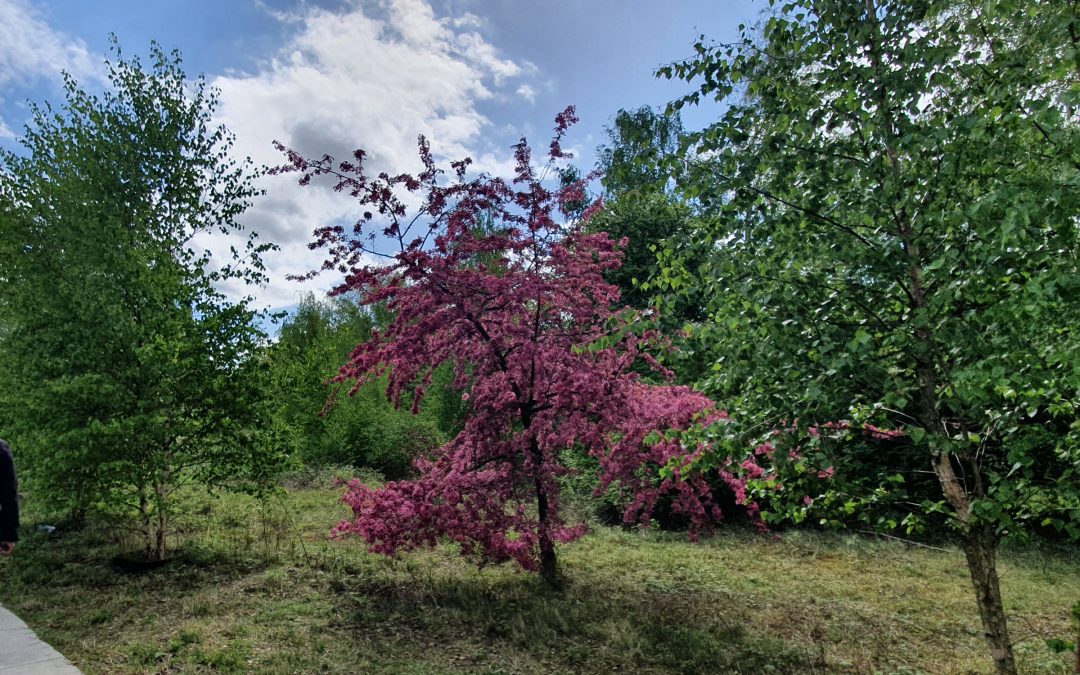 Volop lente in het Spoorpark – Help jij mee het zo mooi groen te houden?