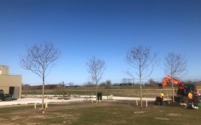 21 bomen in Spoorpark geplant