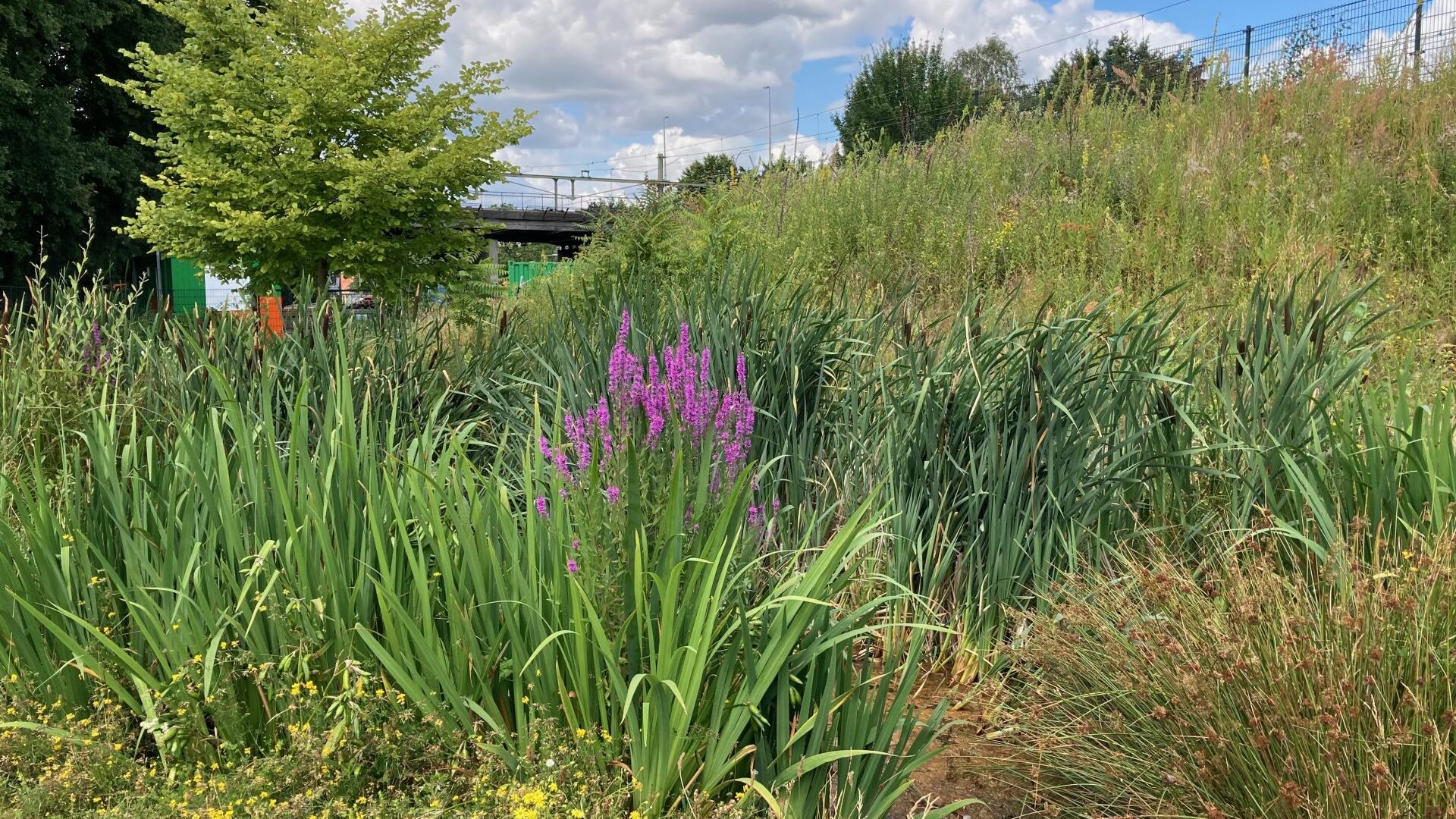 Jaarverslag Spoorpark Tilburg Jaarverslag Spoorpark Tilburg