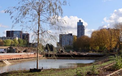 Realisatie T-huis kan van start