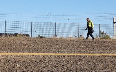 Bloemenweides handmatig ingezaaid